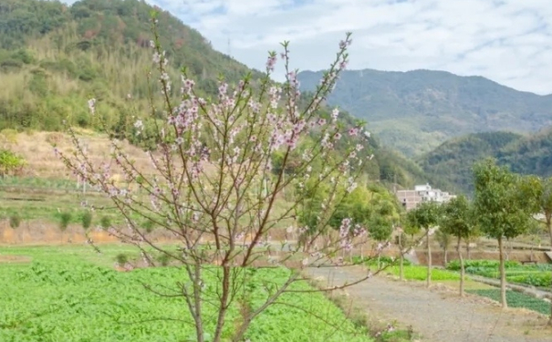 宝宝出门辟邪可以佩戴这几种辟邪之物,可保佑孩子健康平安